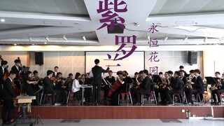 【中国石油大学北京管弦乐团】紫罗兰永恒花园