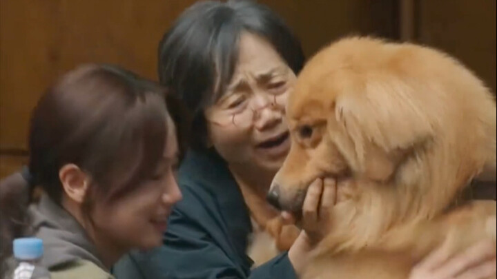 Trong khi làng giải trí Hoa ngữ vẫn còn cảnh vài cô gái tranh nhau một chàng trai thì drama Hàn đã l