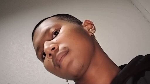 ให้เอไอจำลองภาพ