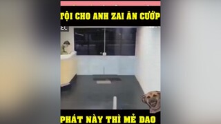 Khổ thân anh chai ăn cướp :v  giaitri   cuoi   relax cuoibebung