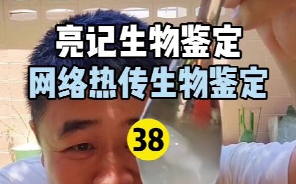 【Nhận dạng sinh học Liangji】Nhận dạng sinh học nóng hổi trên Internet 38