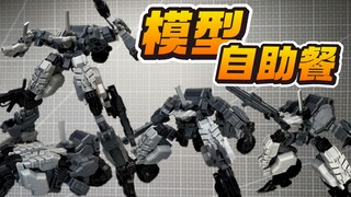 模型自助餐？模块化！玩法超多！大火鸟制造 影子部队EX01&02