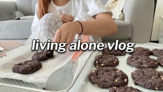 my new cleaning toy , Coding & Baking 😇 Living Alone in the Philippines