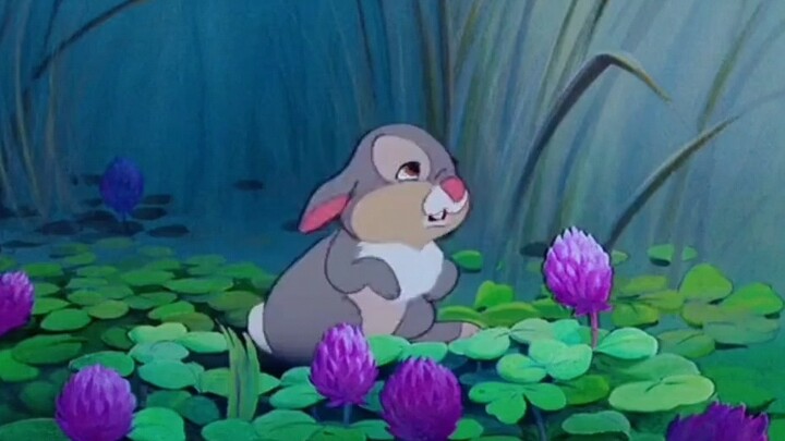 Thumper