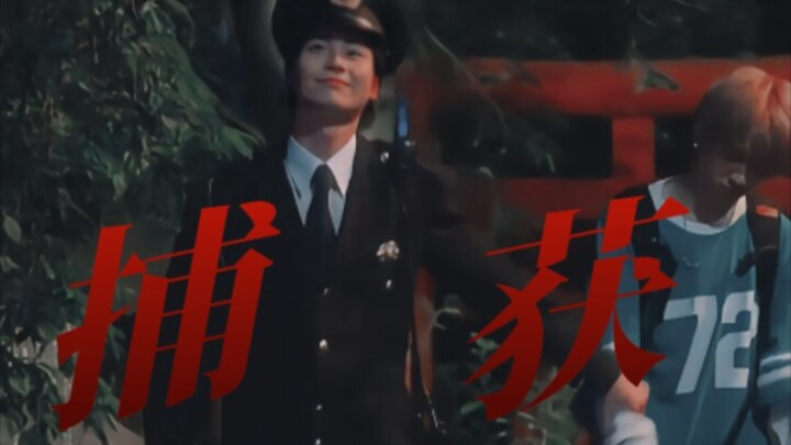 A damp little dog cooks her way to a husband with the perfect physique!