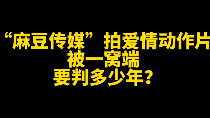 “麻豆传媒”等专业团队24人被抓，非法牟利500余万元，总点击量400余万，如何定罪量刑？