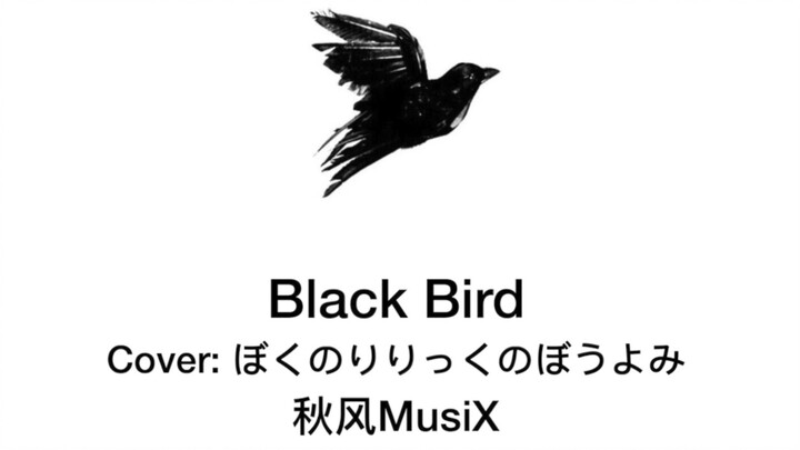 【秋风MusiX】Black Bird