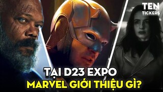 Nick Fury, Daredevil, Captain America... đều chuẩn bị quay lại MARVEL tại D23 Expo | Ten Tickers