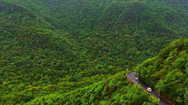 The beauty of nature