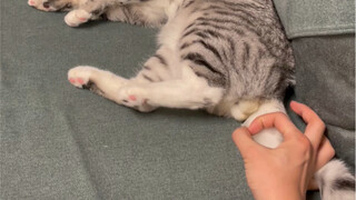 弹一下 就一下 （不要看那里挑战