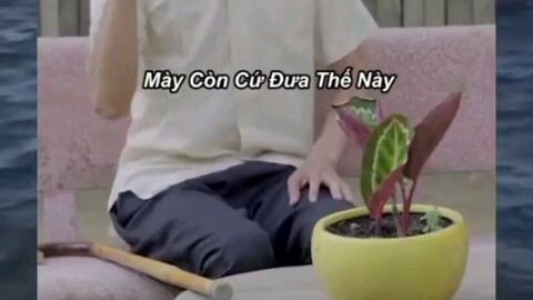 câu chuyện mù