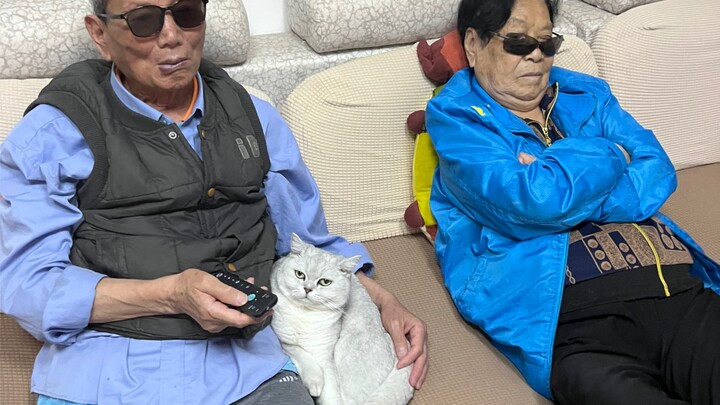 Ketika kakek dan nenek mendengar harga kucing yang saya beli...