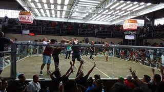 Davao matina gallera 4cock derby