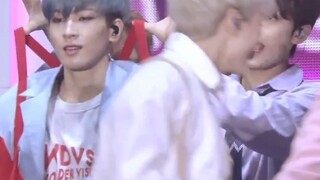 Wonwoo: Well, it was pretty sudden.