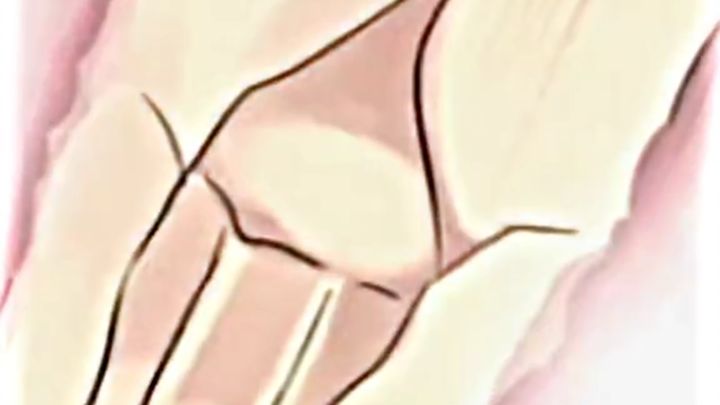 THE WHOLE HAND?