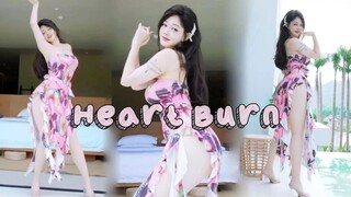 Heart Burn💗Tôi đăng nó chỉ để đuổi theo bạn [White Deer]