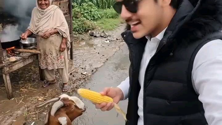 ai video