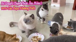 Bí Quyết Chọn Thức Ăn Cho Mèo Theo Từng Độ Tuổi  - 99% Các Bạn Không Biết