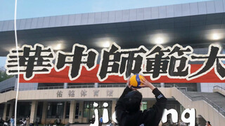 排球人梦中情校