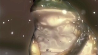 飞升是假，飞升是假！不要飞升！