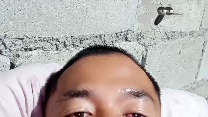 ghonek