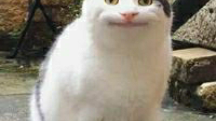 DON'T WATCH THIS VIDEO BECAUSE THIS VIDEO BORED(ĐỪNG COI VIDEO NÀY BỞI VÌ NÓ CHÁN)