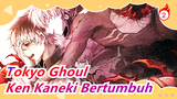 [Tokyo Ghoul / Edit] Musim 1-4, Pertumbuhan Raja Mata Satu Ken Kaneki_2