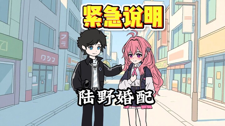 陆野婚配 | 紧急说明