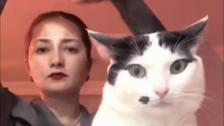 It’s the New Year—every household’s owners and their little ones team up to bring you a festive show