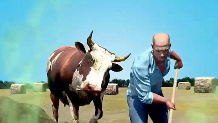 The Relationship Between Animals and Humans