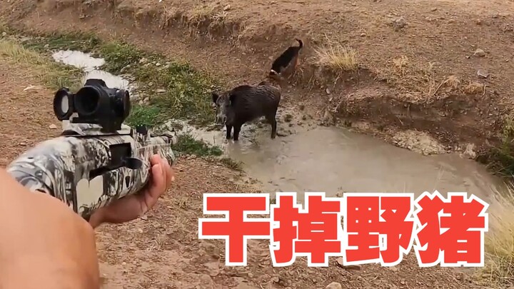 Real footage of wild boar culling