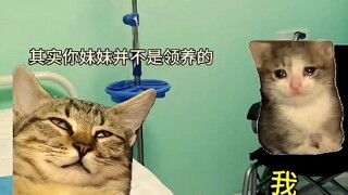 忙活半天终于成了一家人
