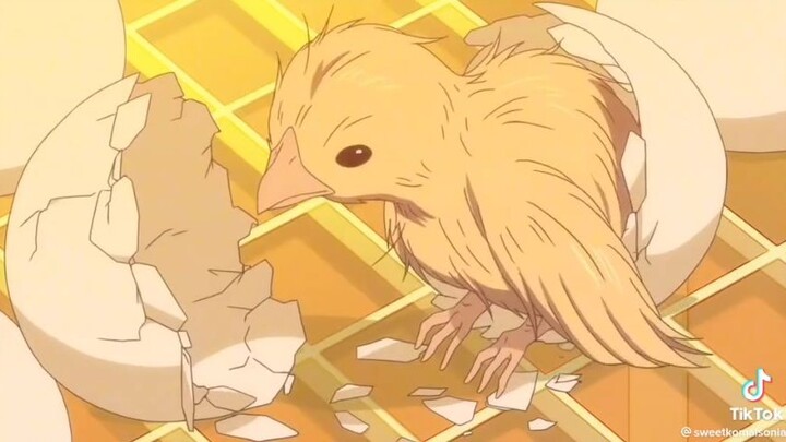 Kotaro imut banget 😭🌸