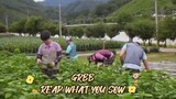 GRBB Reap What You Sow eps 9 (2023)