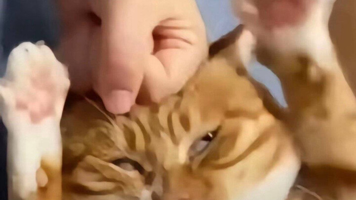 Laughed so hard I could barely stand tonight | A Collection of Hilarious, Cringey Videos from Home a