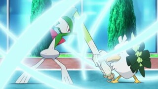 Pocket monster - Cùng nhau mạnh hơn