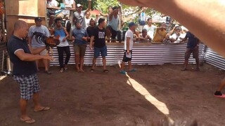 tupada 1st fyt win
