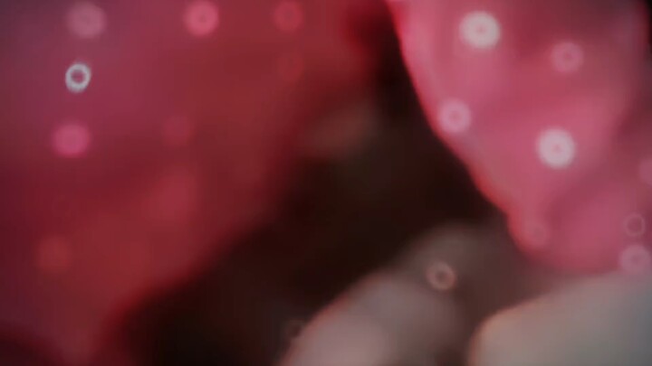 เจ้าคนเก็บขี้แมวก็ไม่จัดการบ้างเลยเหรอ?