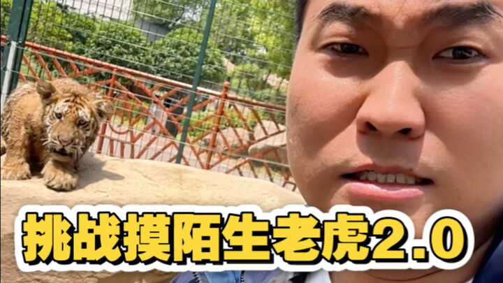 ของเล่นชิ้นเล็กๆ นี่ดุขนาดนี้เลยเหรอ?