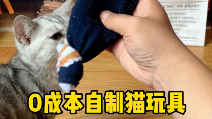 Zero-Cost DIY Cat Toy #CatToy #DIYCatToy #CatTeaserGadget