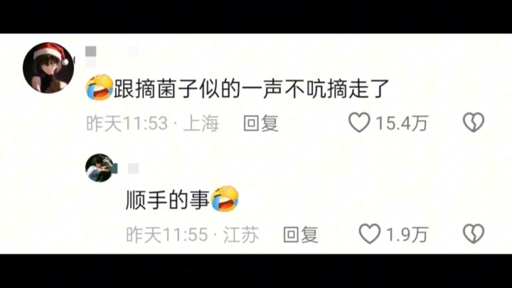 Dog mom’s world collapses: Her chubby pup, lovingly fed to plumpness, gets taken away!