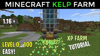 How to Make Kelp XP Farm in Minecraft Bedrock 1.17 Unlimited XP