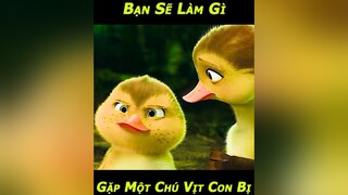 Còn Ai Mún Làm Mẹ Trẻ Con Nữa Hông Nè 😎 phim phimhay phimmoi phimhaymoinhat phimhoathinh