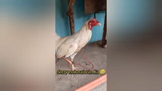 KALA KO EXAM, FUN RUN PALA 🫣😅