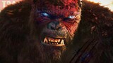 Godzilla X Kong: The New Empire, Army of the Dead 2, Frozen 3, Dune 2 - Movie News 2023