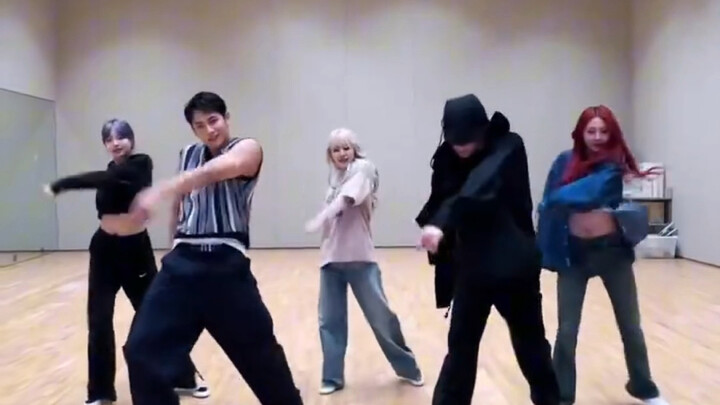 Xiaoba's precious team cha collection 1