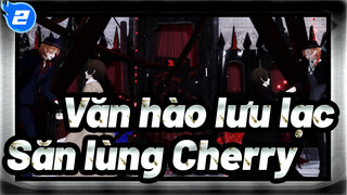 Văn hào lưu lạc |[BSD/MMD]Săn lùng Cherry[Chuuya&Dazai ]_2