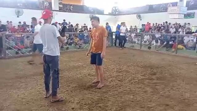 machine kelso + tose line (lucky coliseum SPC)