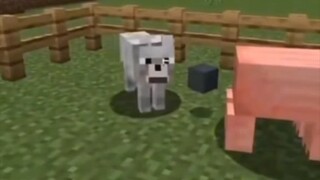 Memes that Muslims love to watch