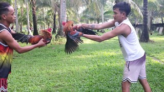 Early Bird Bruce Barnett Sweaters